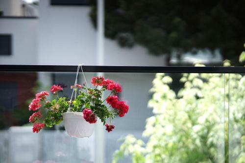 Roga Apartment Valamar