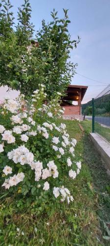 Apartamento Aqua Nature
