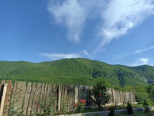Apartamento Green Garden