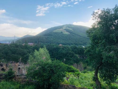 Apartamento Comfort House Jermuk