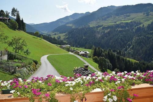 Apartamento Ferienwohnung "panoramablick" Wild-603 Fewo-plancom