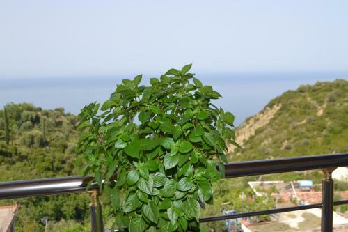 Apartamento Sea View Lukova