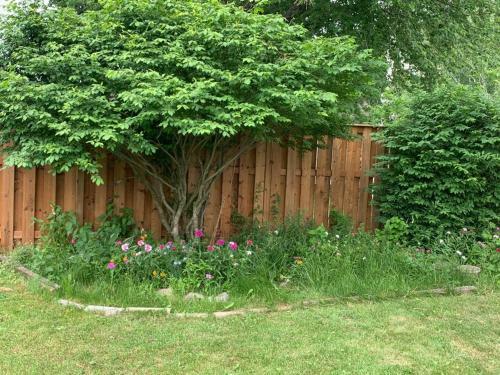 Adorable One Bedroom Apartment In Chatham