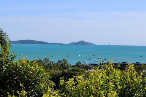 Apartamento Seven Palms
