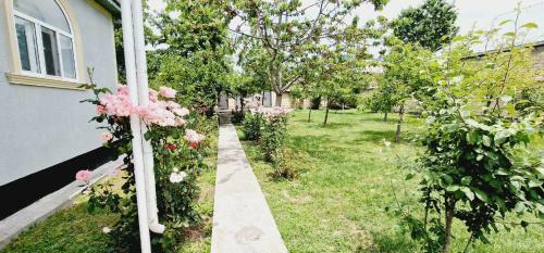 Villa Nice Yards