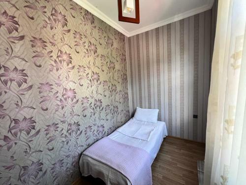 Gabala Green & Mountain View Villa