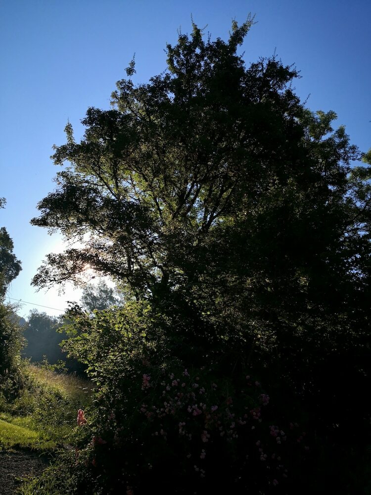 Bed & Breakfast Le Moulin De Gauty