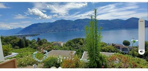 Apartamento Sollevante Ascona
