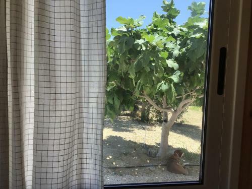 Pervolaris Cottages 2