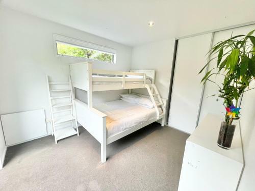 Onetangi Nest - Waiheke Escapes