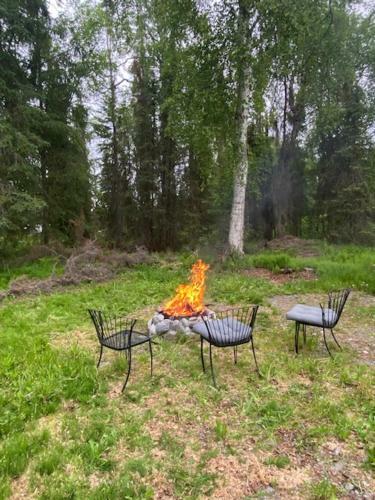 Bears Den In Soldotna