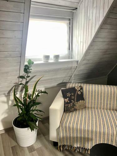 Chalet T�bor�k