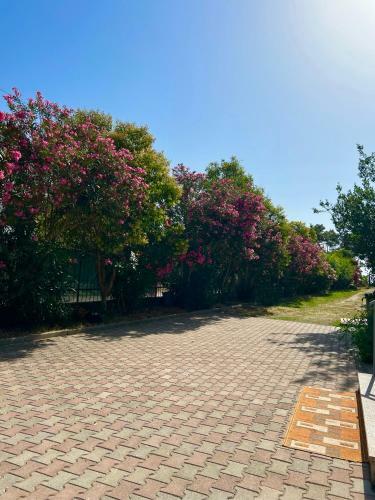 Apartment Kune,sh�ngjin