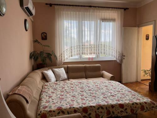 Apartment Si