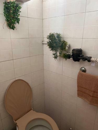 Apartment Si