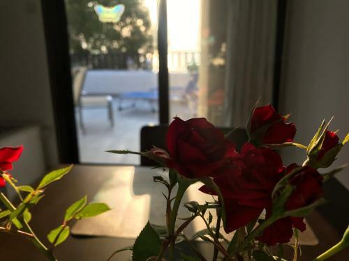 Apartamento Breath Taking View