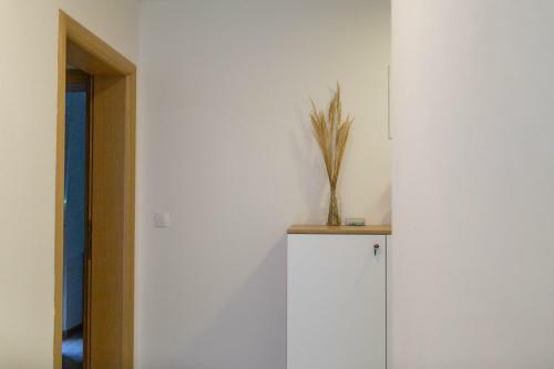 Apartmani Mia