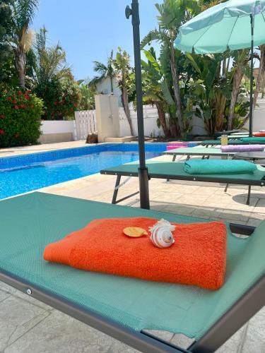 Spacious Island Villa With Private Pool