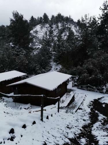 Bosco Paradiso