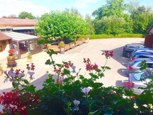 Hotel Lauth