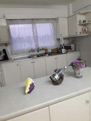 Alexandros Apartment