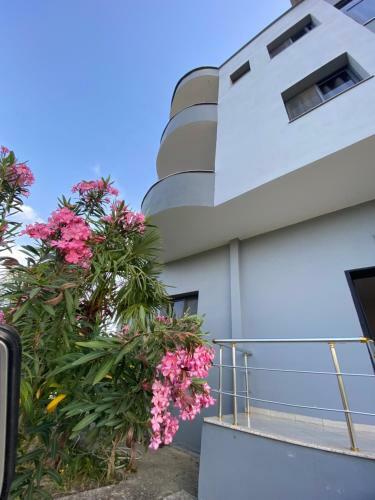 Hotel Grey Villa