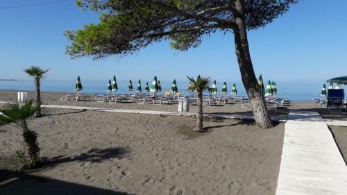Apartment-hotel Sh�ngjin