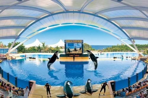 Apartamento Cozy Studio In Playa Fa�abe