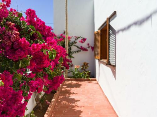 Agaete Pupe Home By Canariasgetaway