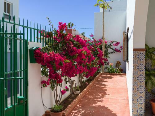 Agaete Pupe Home By Canariasgetaway