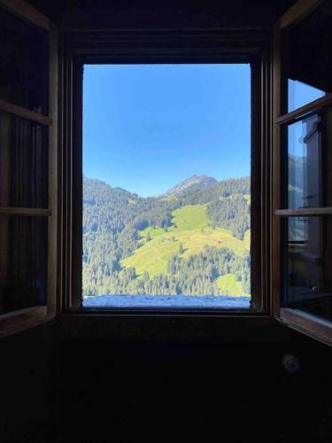 Mountain Chalet - Panoramic Terraces - Near Gstaad