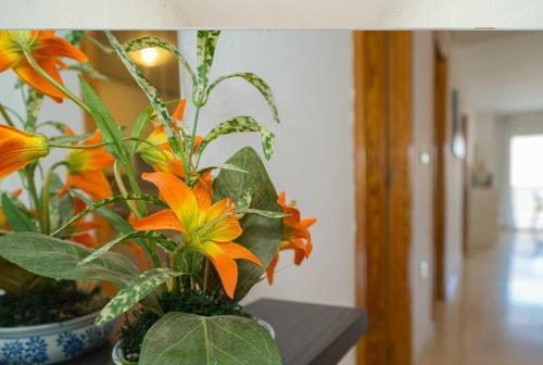 Apartamento Coliseo 6 3c Spaniahome