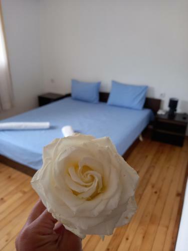 Hostal ???? ?? ????? ????????? ???
