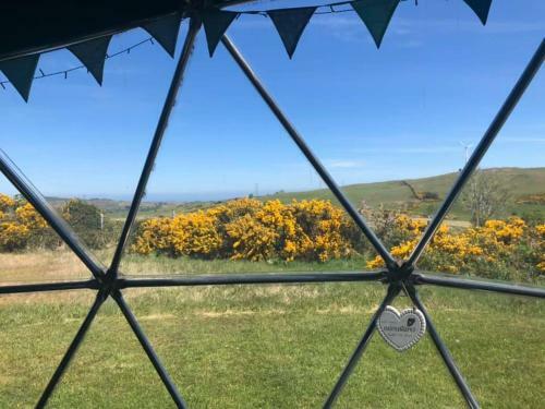 Pant Y Rhedyn Glamping And Camping Site