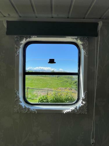 Pant Y Rhedyn Glamping And Camping Site
