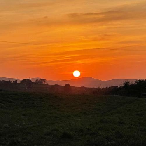 Pant Y Rhedyn Glamping And Camping Site