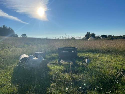 Pant Y Rhedyn Glamping And Camping Site