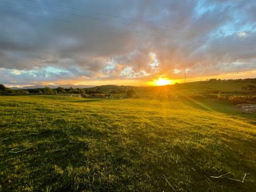 Pant Y Rhedyn Glamping And Camping Site