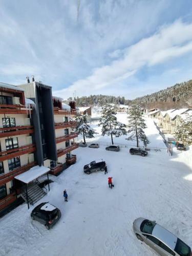 Leo Group Luxury Apartment 04-32 Bakuriani Inn