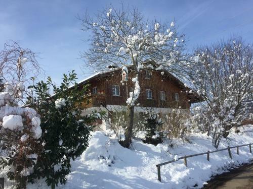 Apartamento Ferienhof Theo