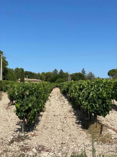 Charming Villa With Swimming Pool - Ideal Holiday