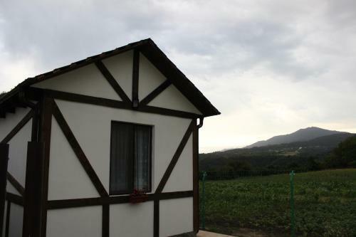 Mountaintop Sadgeri