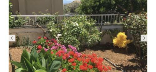 Koumans Residence Akoumia-triopetra