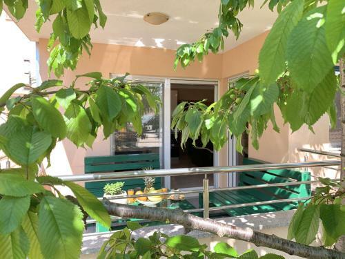 Apartmani Petra