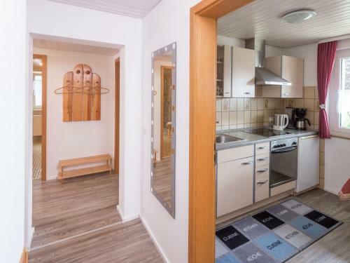 Apartment Am Kreuzfelsen Dachsberg
