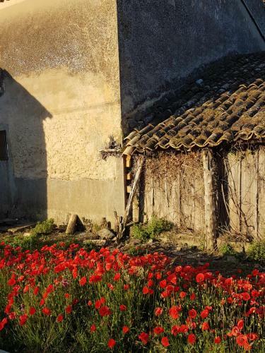 Bed & Breakfast Le Mas Des Anges