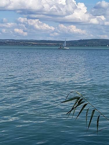 Bed & Breakfast Edelmann Panzi� Balatonakali