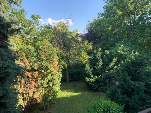 Green Holiday Apartman