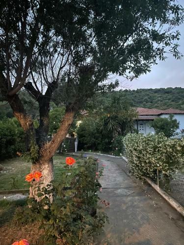 Villa Alexandros