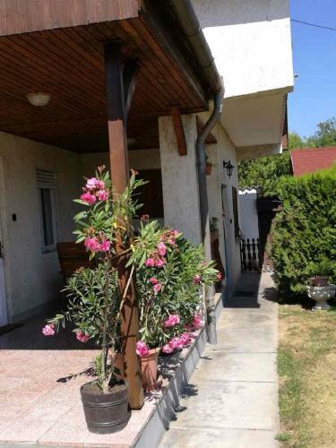 Apartamento S�ra Vend�gh�z